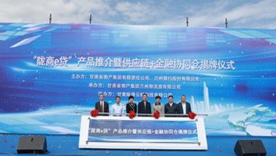 通過發行公司債券、不動產投資信托基金（REITs）、培育上市公司等債權、股權融資工具和發起設立產業基金，拓寬多元化融資渠道；提供貨物在途監管和在庫監管，引入銀行、信托等金融機構，開展倉單質押、保理等業務；逐步拓展B2B供應鏈服務平臺服務范圍，通過倉配一體化、“隴易商”、供應鏈+金融為區域流通行業及相關產業客戶提供“四流合一”的完整供應鏈服務解決方案。